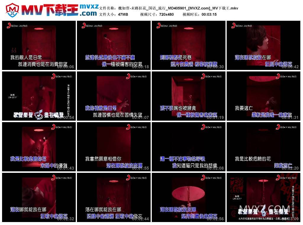魏如萱-末路狂花_国语_流行_MD405901